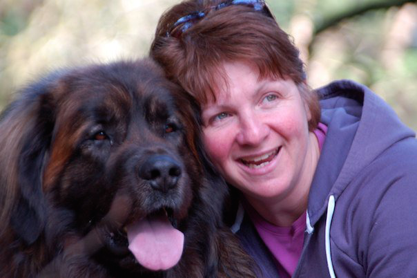 Hillhavenleonbergers leonbergers