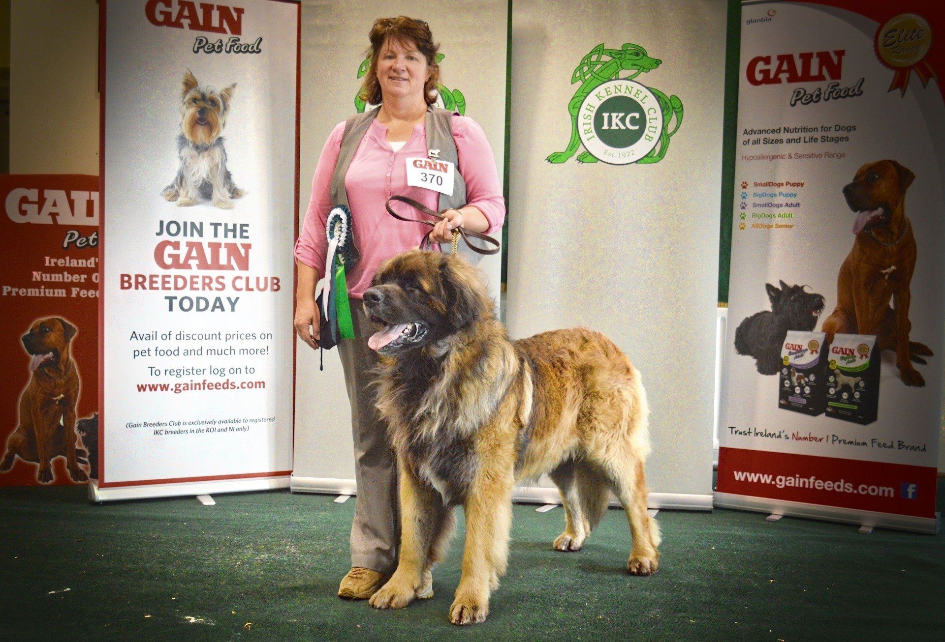 Hillhavenleonbergers leonbergers