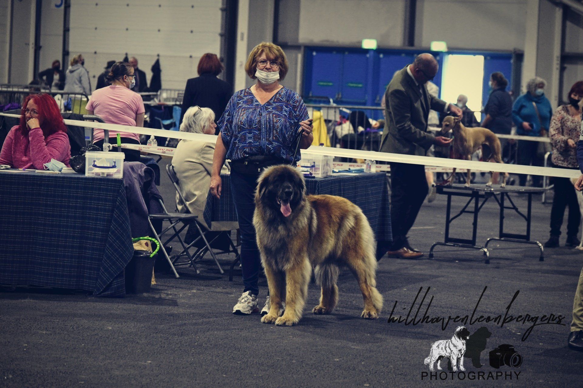Woman stands with a large dog at an indoor dog show ring.