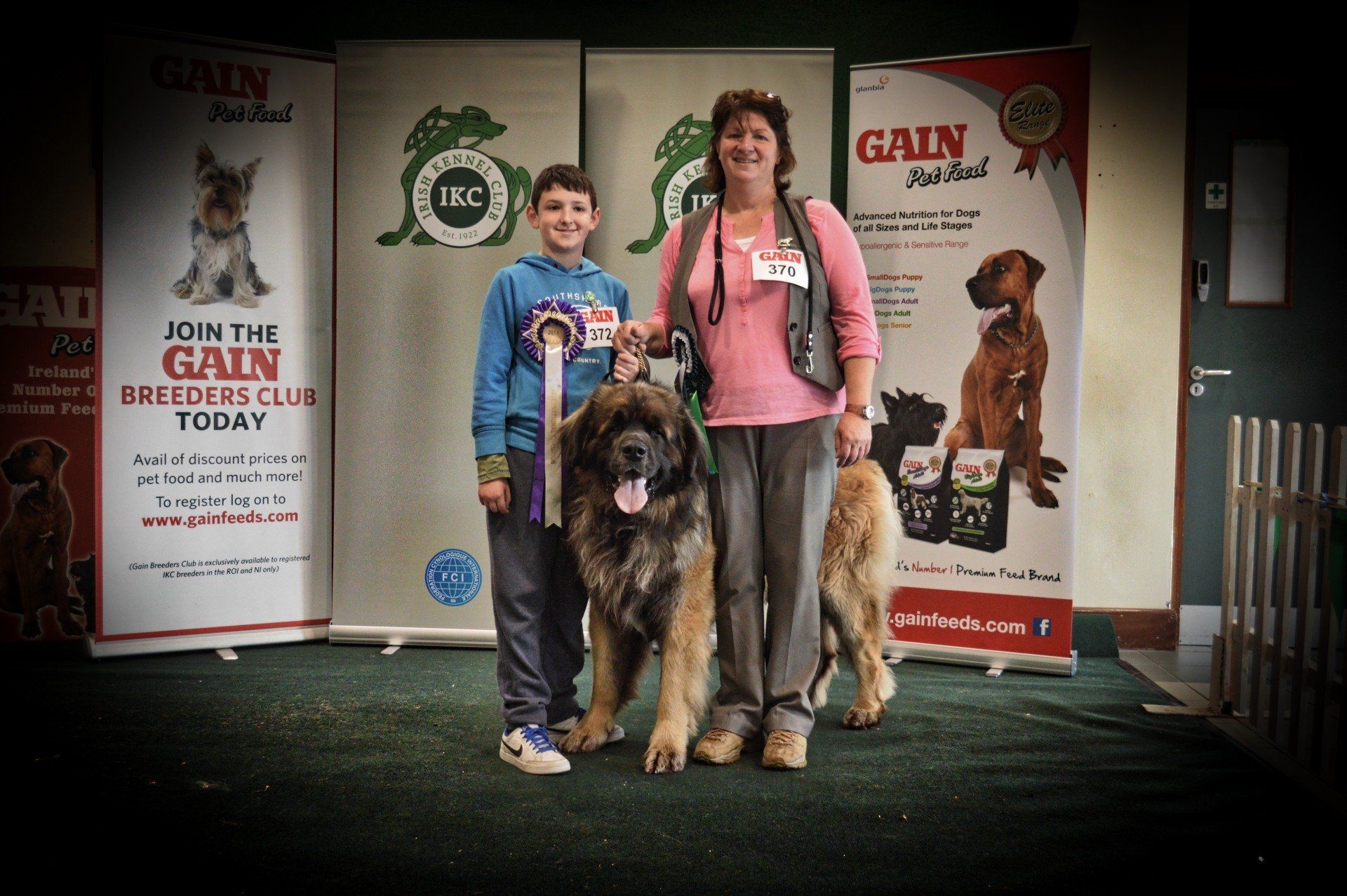 Hillhavenleonbergers leonbergers