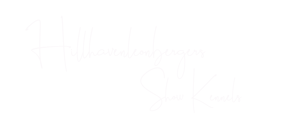 Faint handwritten text on a white page, barely legible, with a light vertical crease or line near the left side