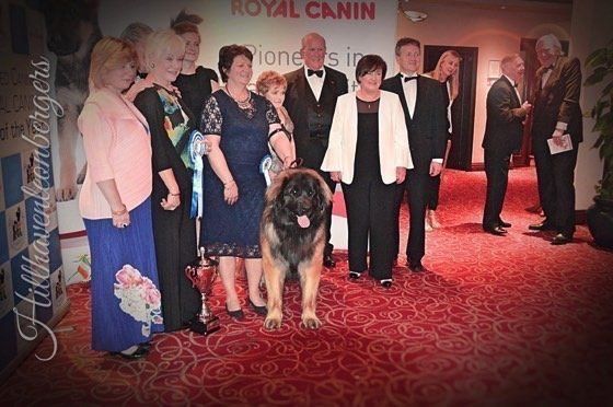 Group posing with a large dog on a red carpet at a Royal Canin event