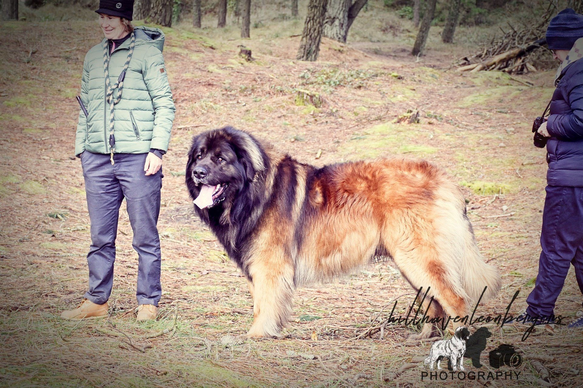 Two people standing with a large brown-black dog in a wooded area.