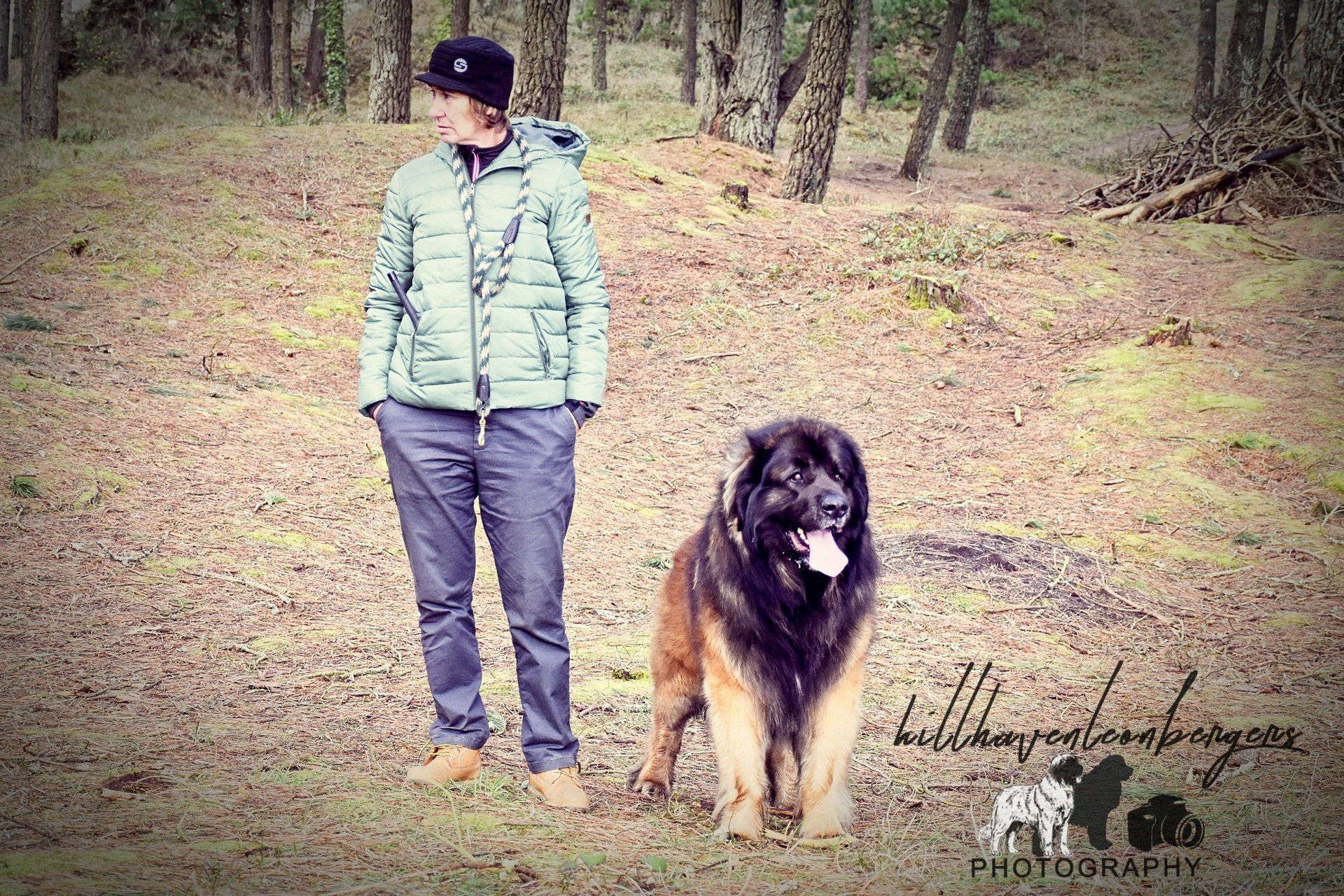 Person standing beside a large dog on a forest trail