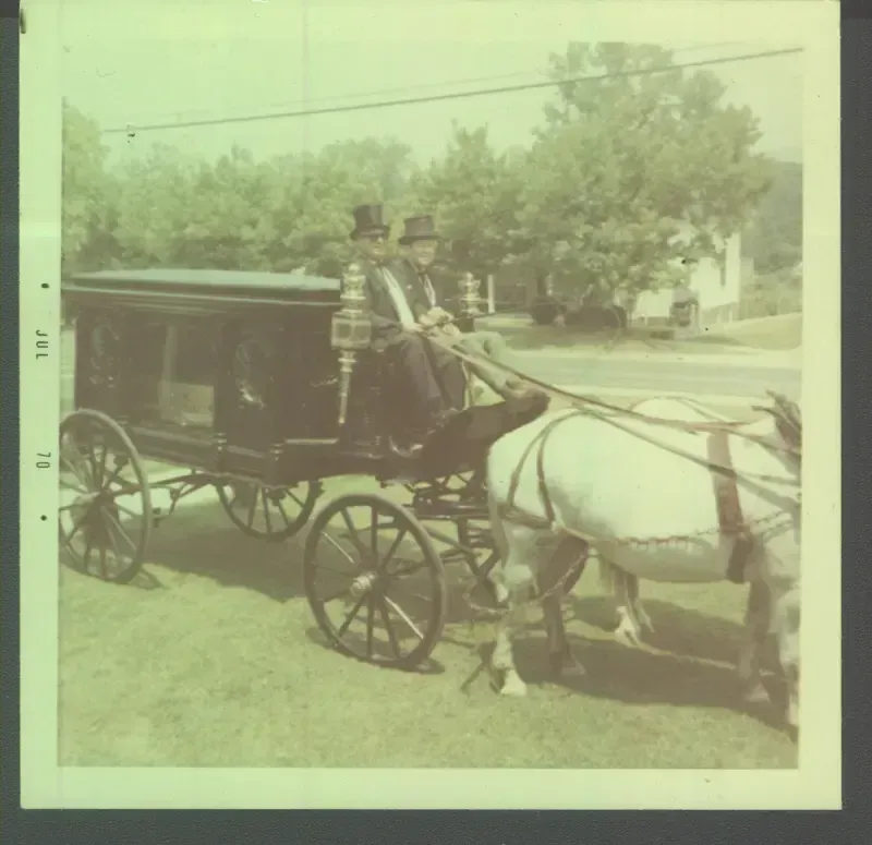 Horse-drawn black carriage with driver parked on a sunny street beside trees and houses.