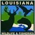 A picture of a deer and a squirrel in louisiana.