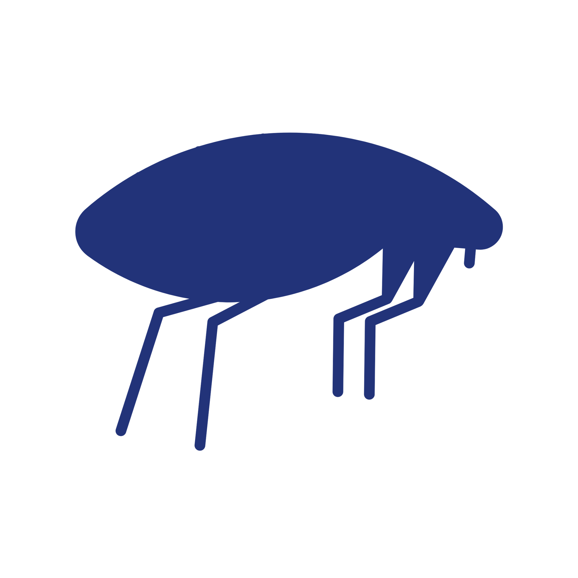 Blue flea with six legs, depicted on a white background.