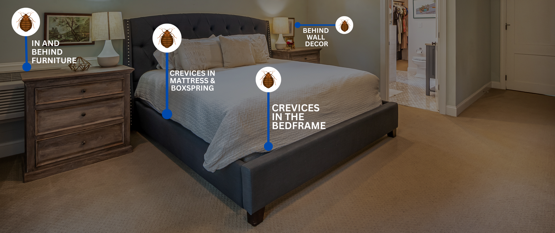 Bedroom with bed, nightstands, and carpet flooring.