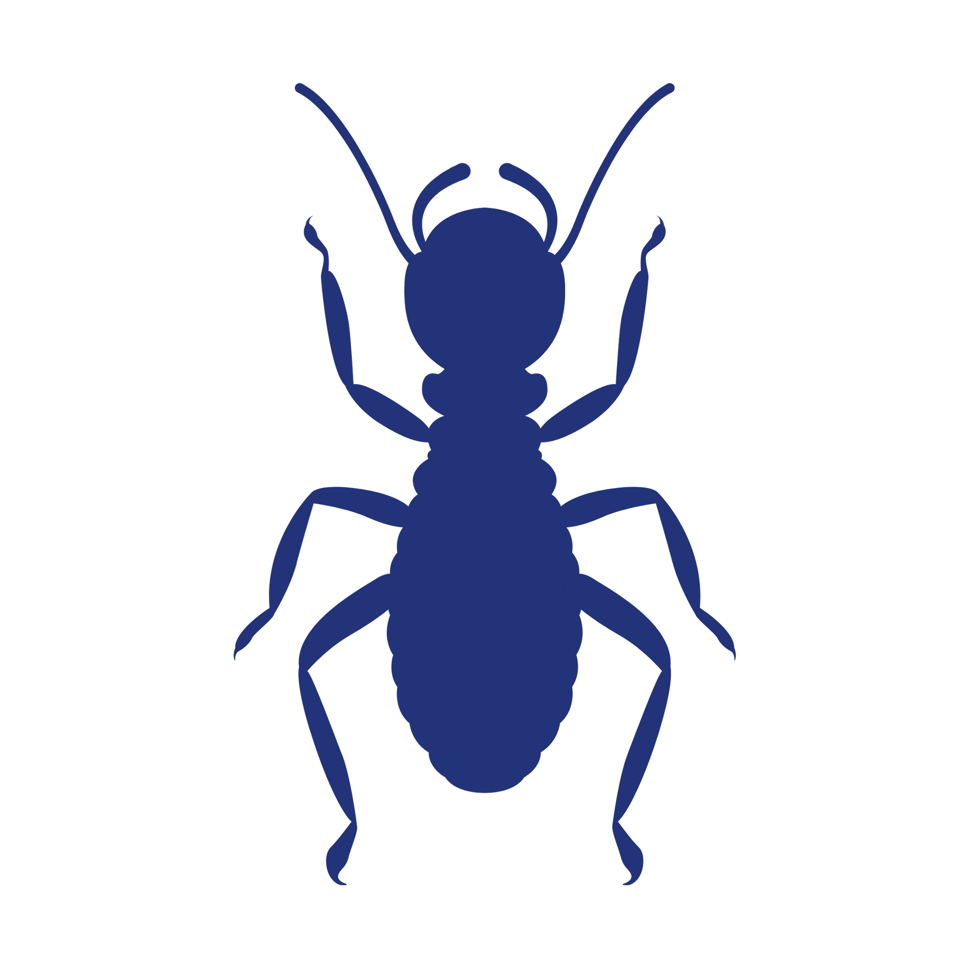 Blue silhouette of a termite.
