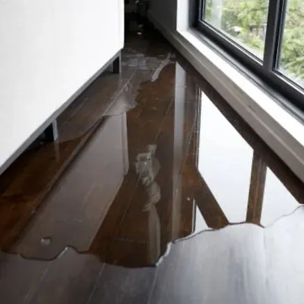 Water Damage In Home