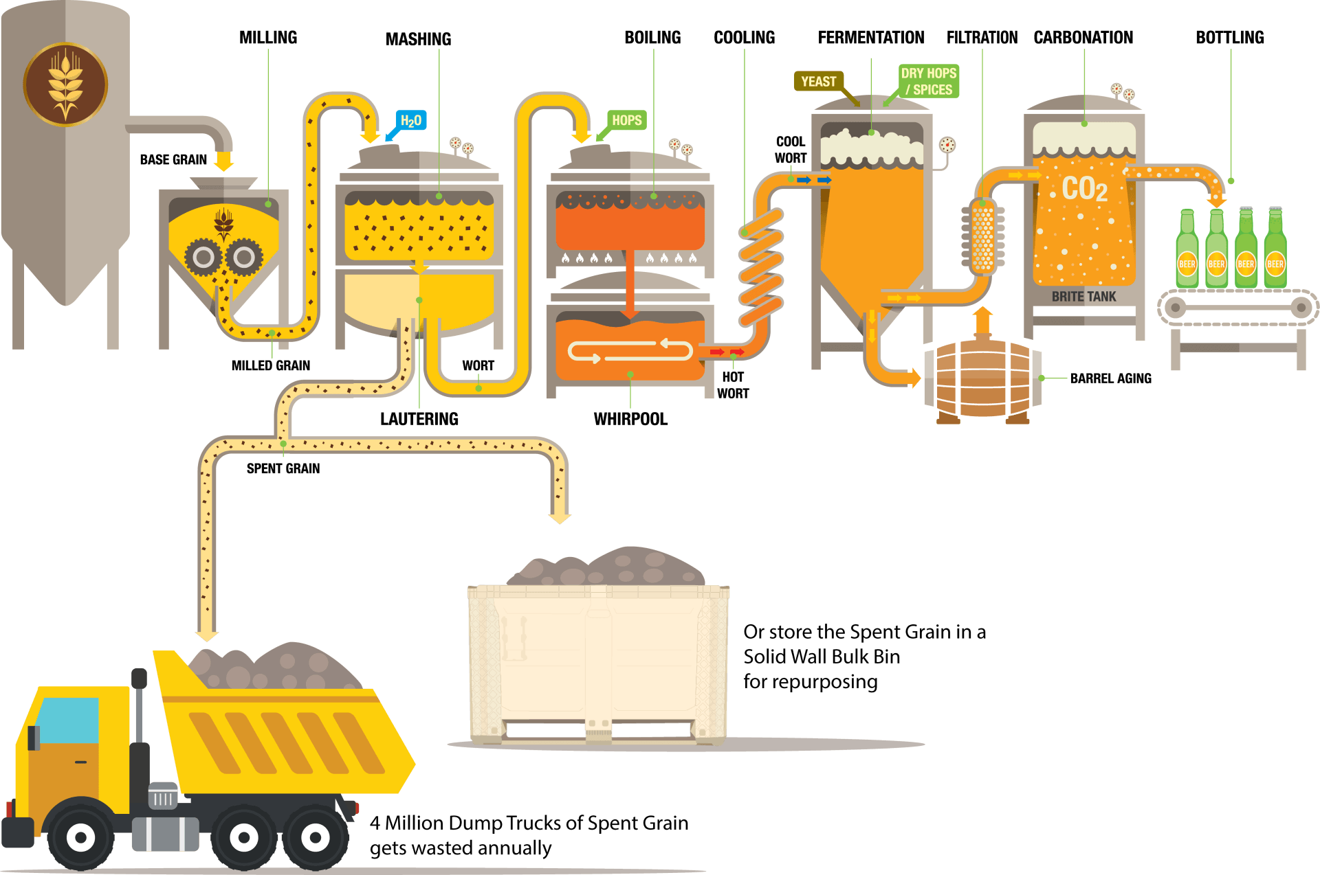 Beer brewing process