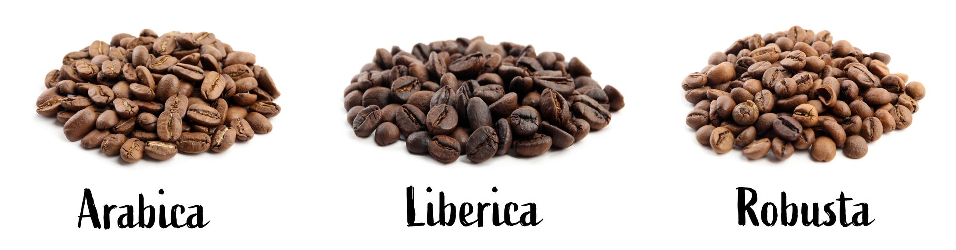 Coffee beans