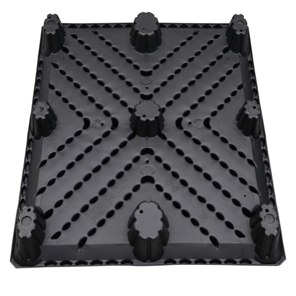 Back top view