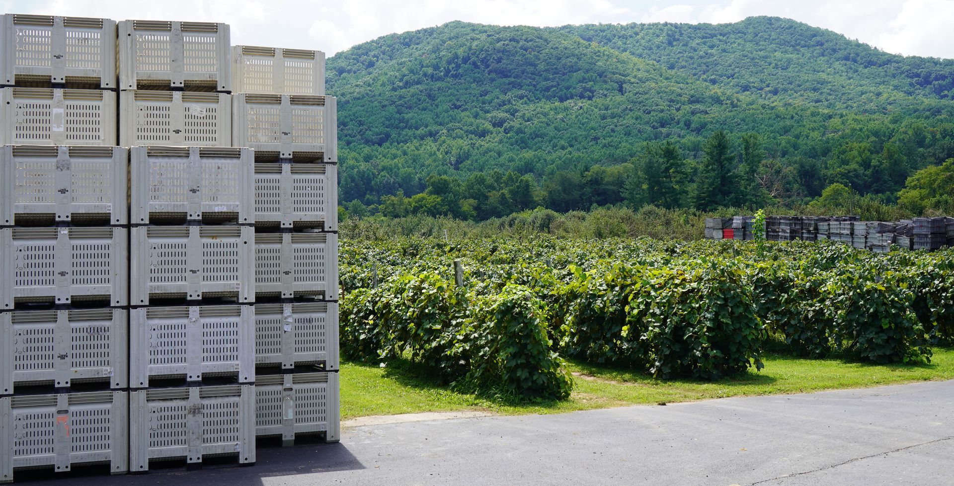 Wood crates and pallets