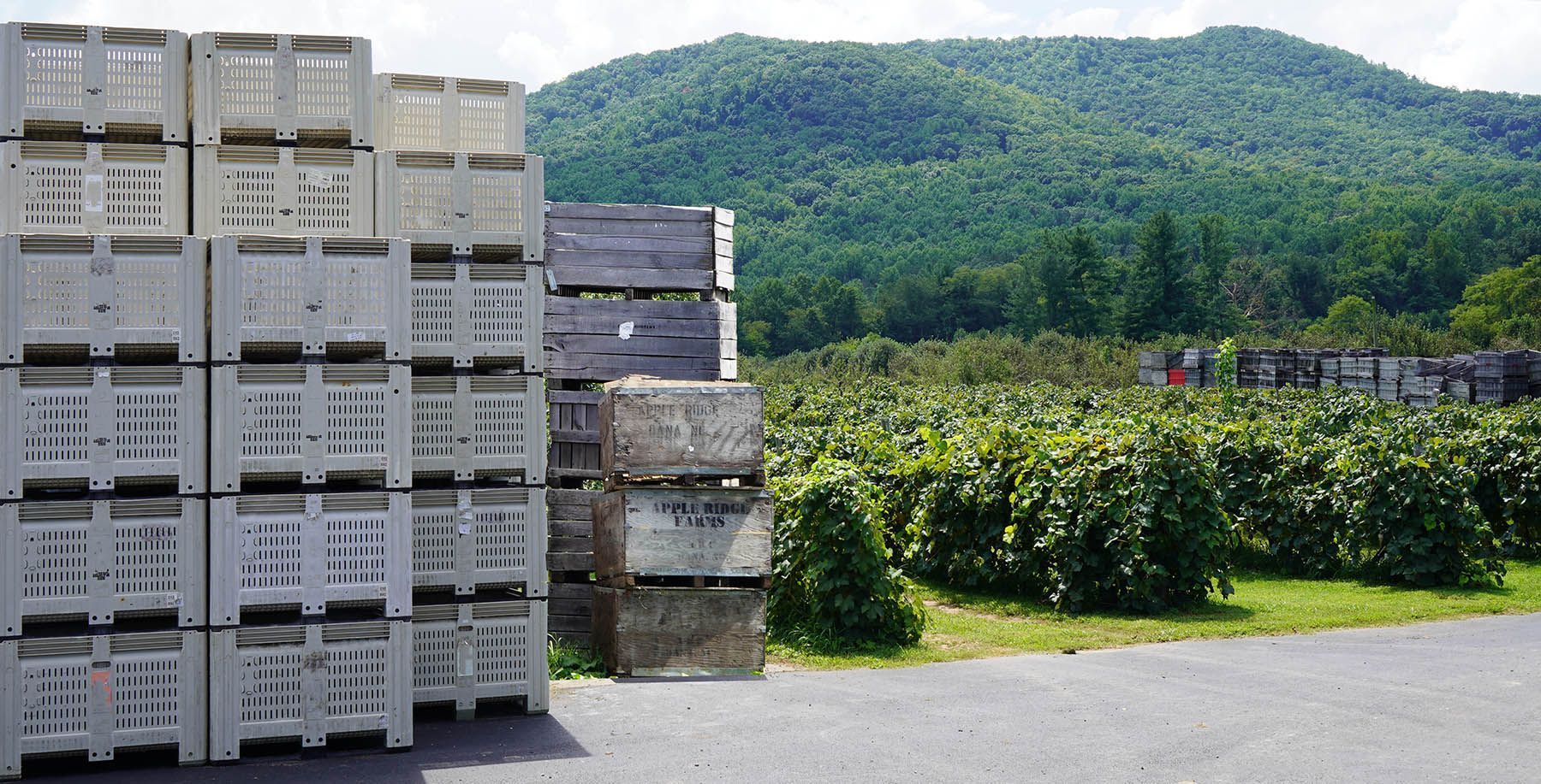 vented bulk bins and wooden crates vented bulk bins and wooden crates