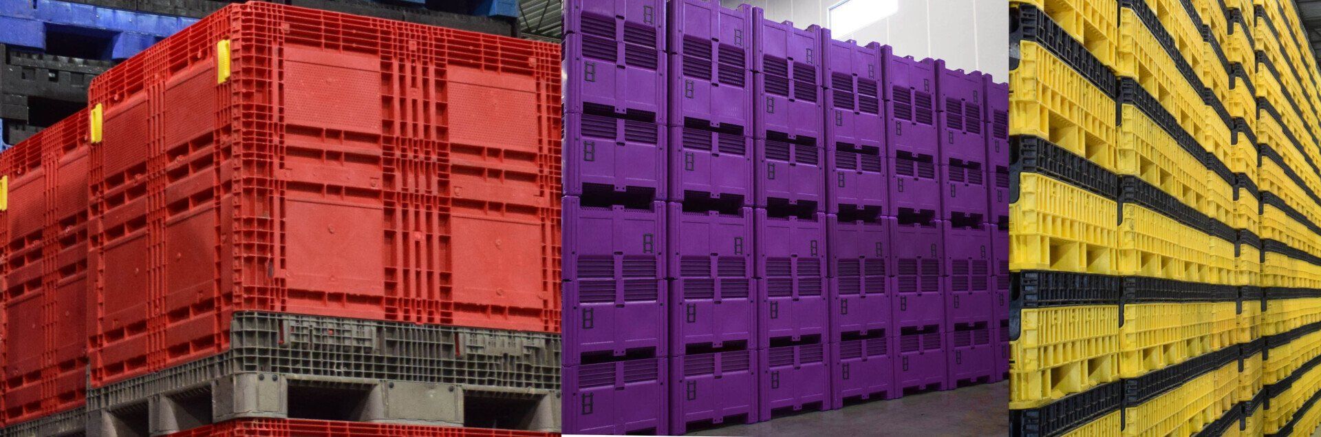 container color options 