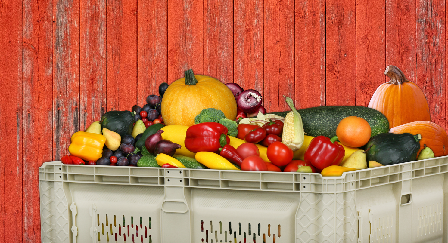 Agricultural Harvest Bin Agricultural Harvest Bin