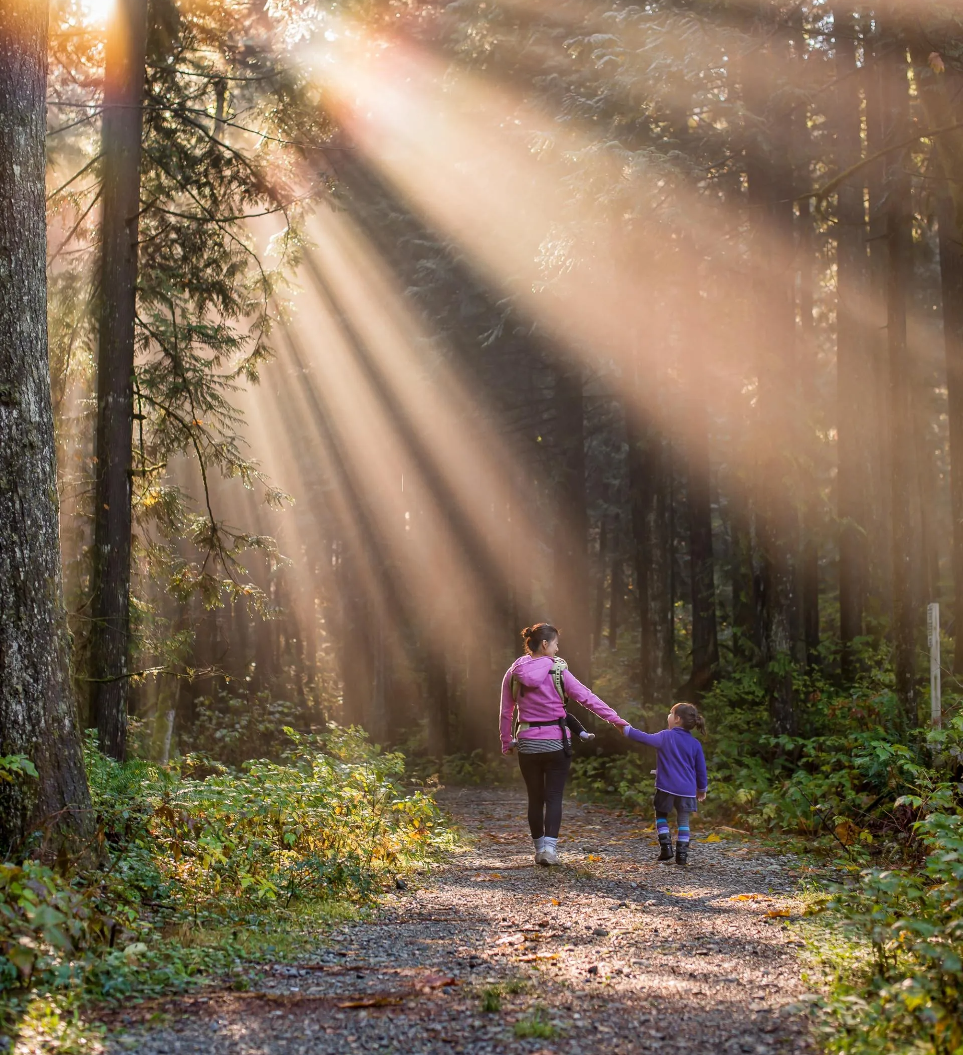 A woman and a child are walking through a forest holding hands.