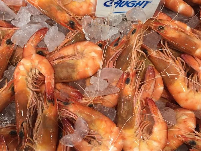 A Pile Of Shrimp On Ice — Northern Rivers Seafood In Ballina, NSW