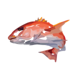 Fresh Seafood Shop In Ballina