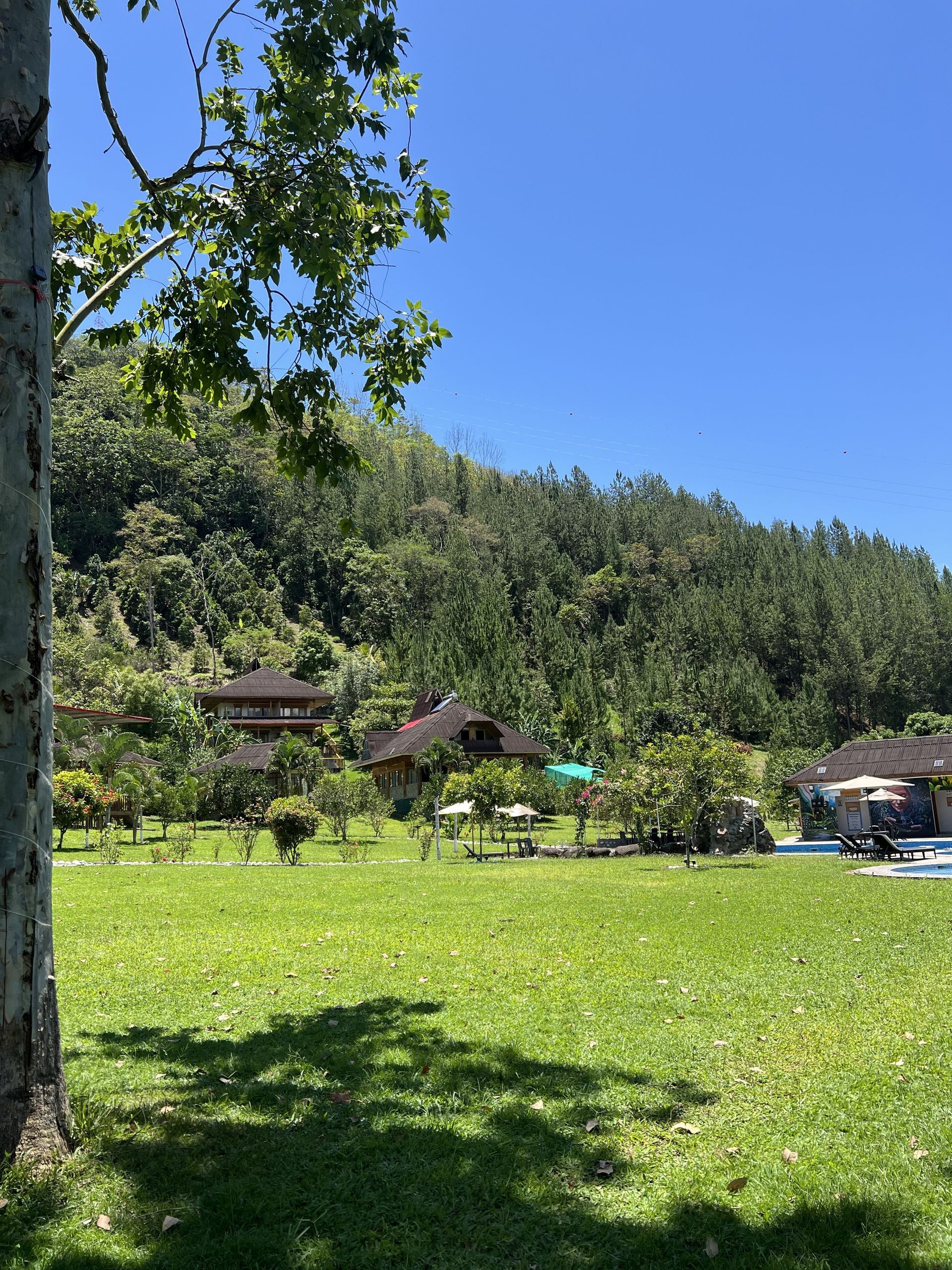 Campo soleado con cabañas y árboles junto a una ladera boscosa bajo un cielo azul claro.