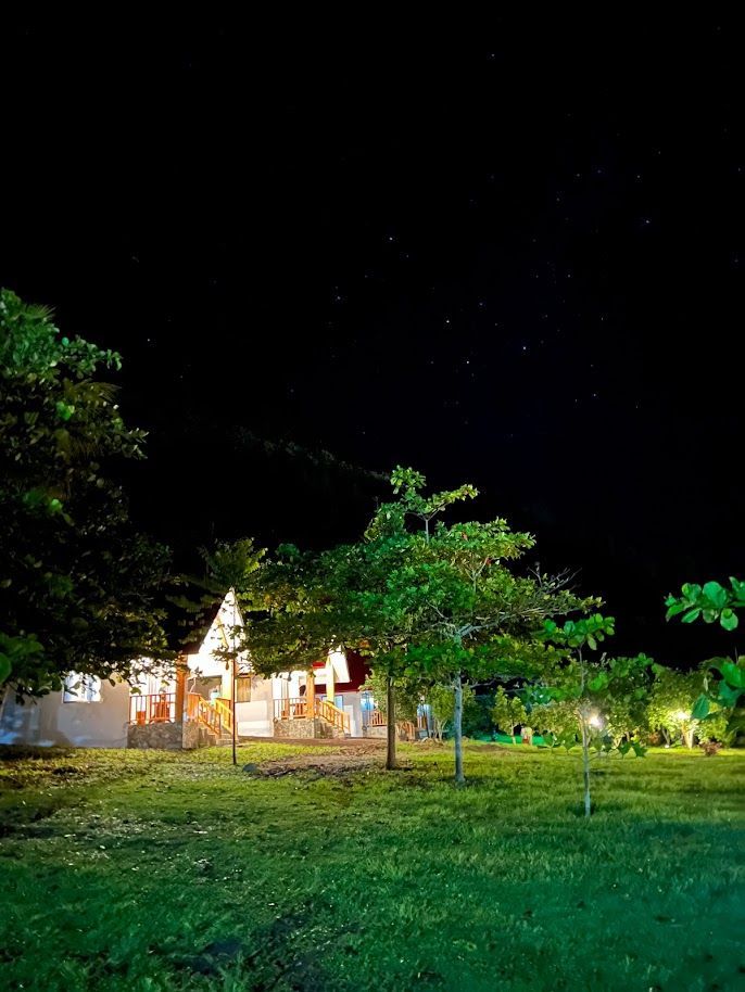 Casa iluminada en un patio cubierto de hierba por la noche, enmarcada por árboles bajo un cielo oscuro.