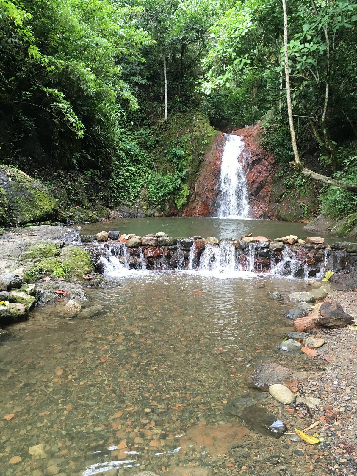 Una pequeña cascada desemboca en una poza rocosa de aguas cristalinas, rodeada de un frondoso bosque verde.