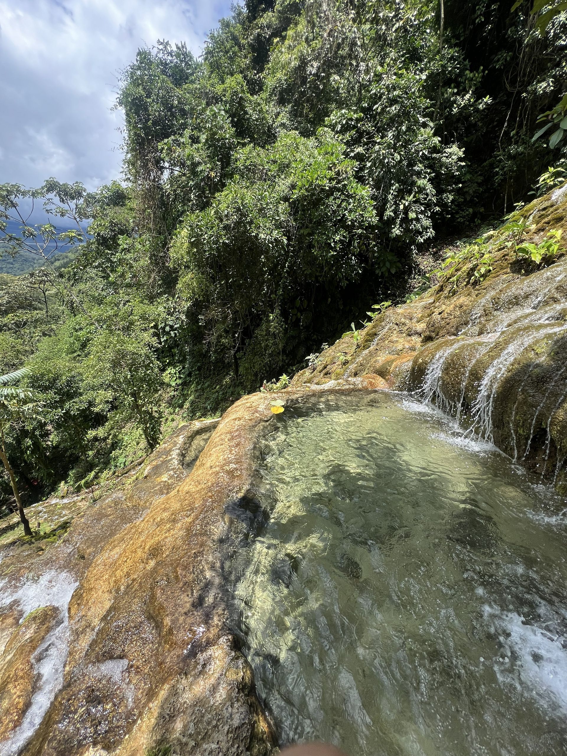 Una pequeña cascada cae sobre una roca cubierta de musgo en un frondoso bosque de montaña.