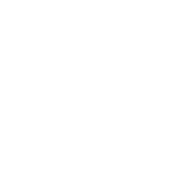 svg icon