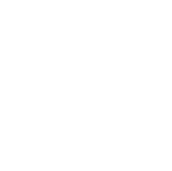 svg icon