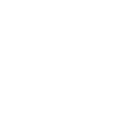 svg icon