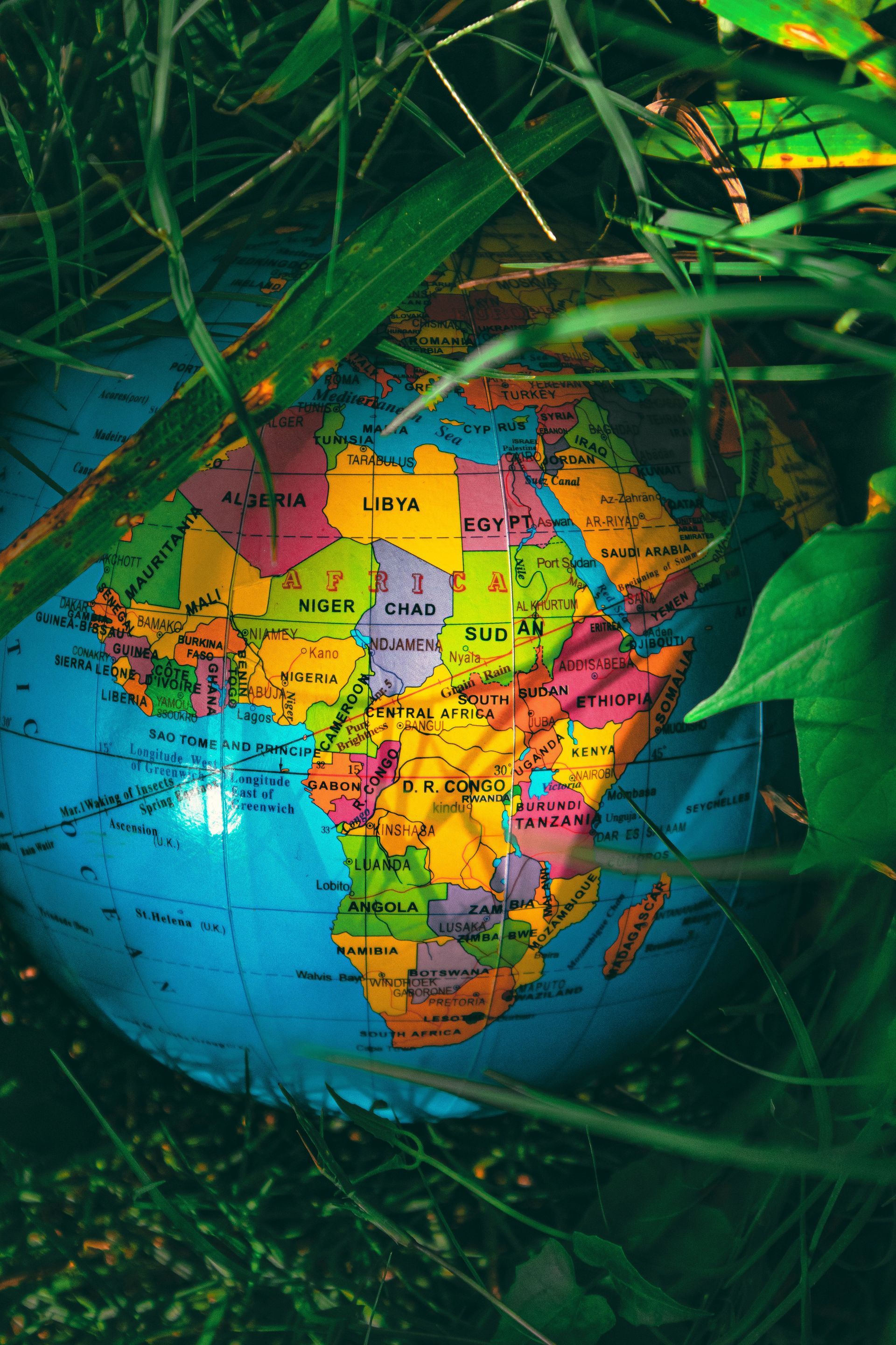 Colorful globe of Africa framed by green leaves and branches