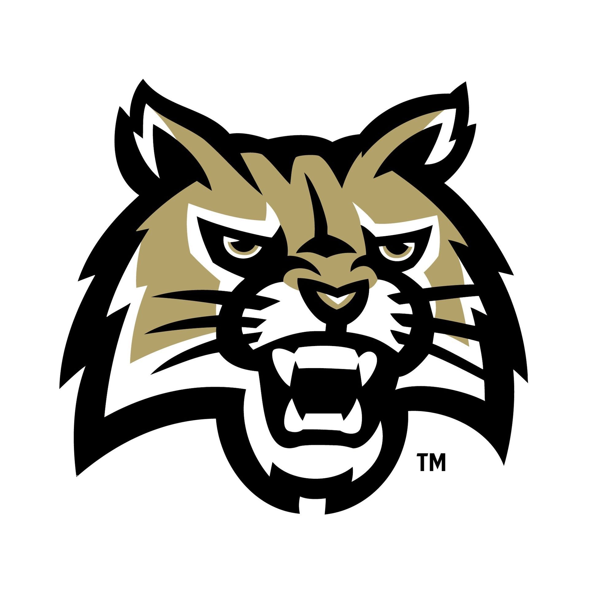 Stylized gold, black, and white mountain lion head logo with open mouth and fierce expression