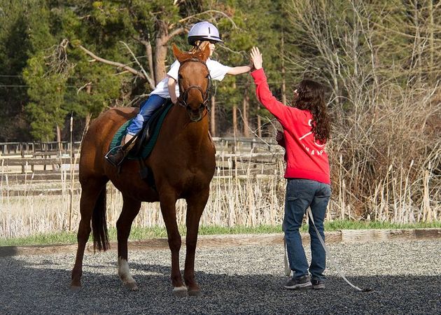 A woman in a red sweatshirt is giving a child riding a horse a high five