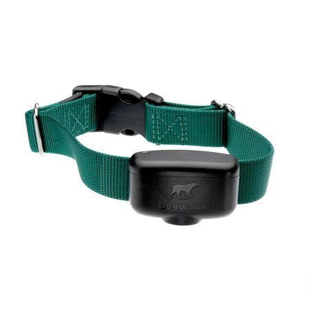 A green dog collar with a black device attached to it.