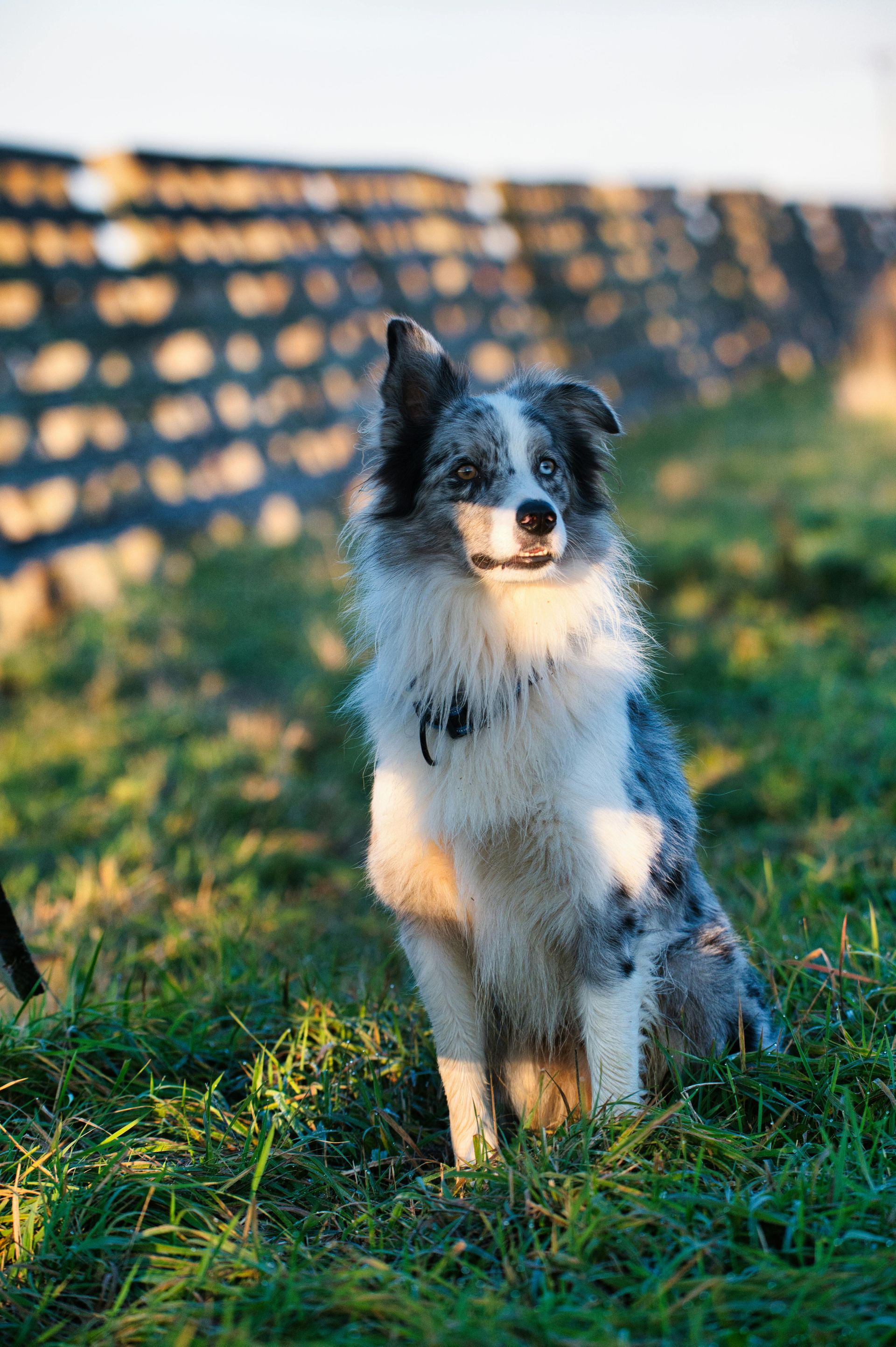 Hidden Fence Myths Debunked