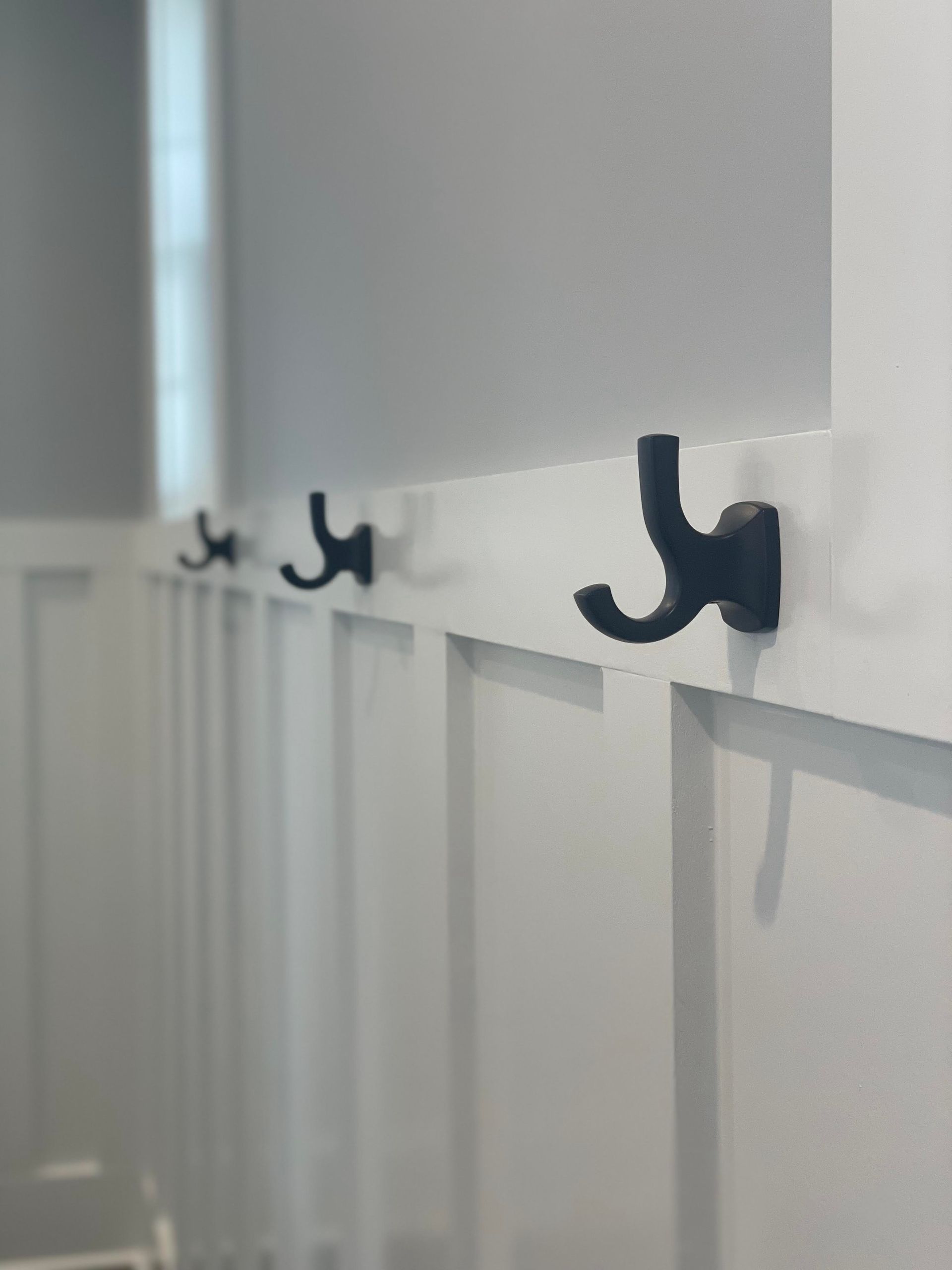 Modern Hooks On A White Wall Panel