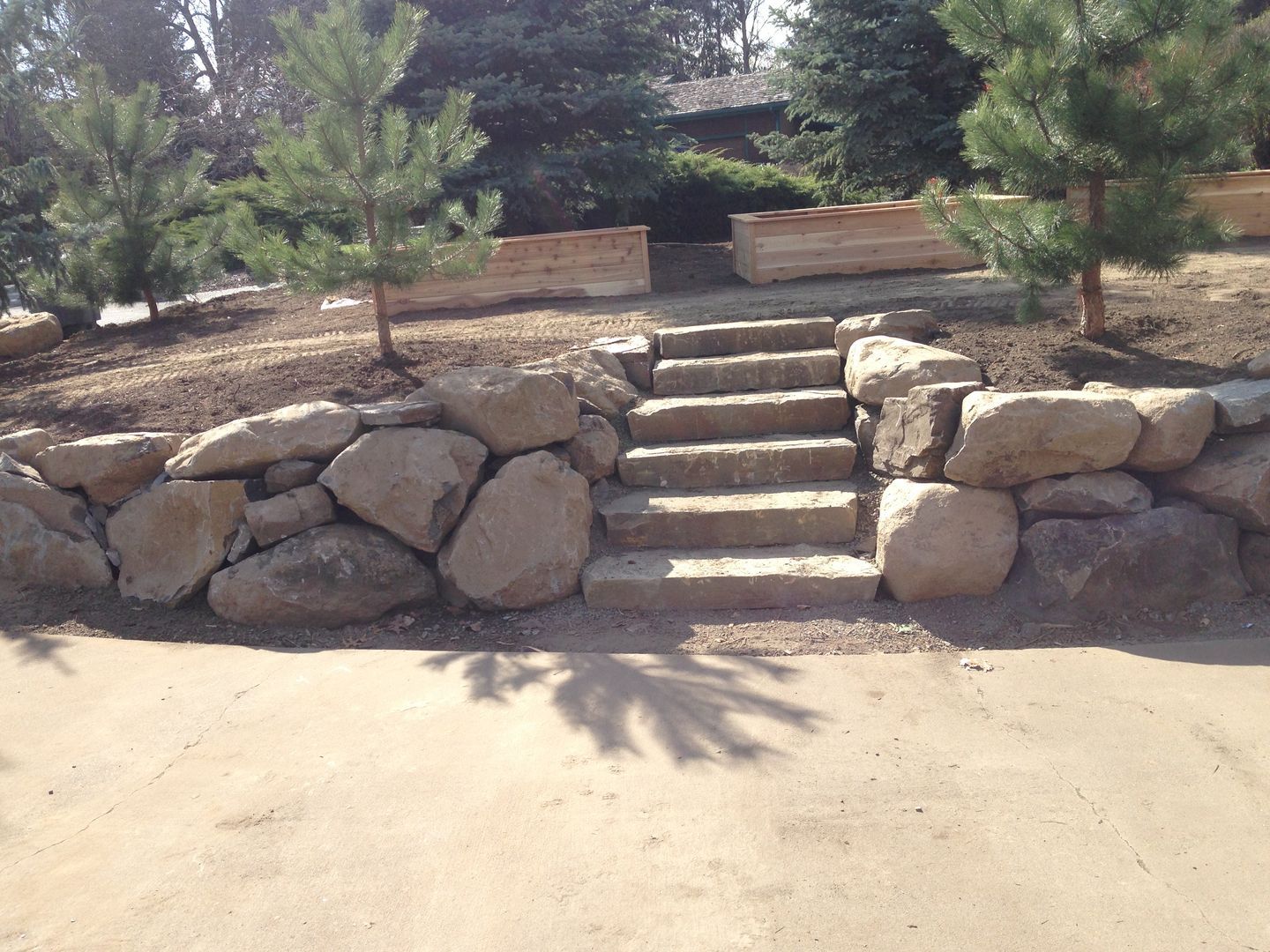 Stone steps between large rock walls in a sunny landscaped yard with small pine trees and planter boxes.