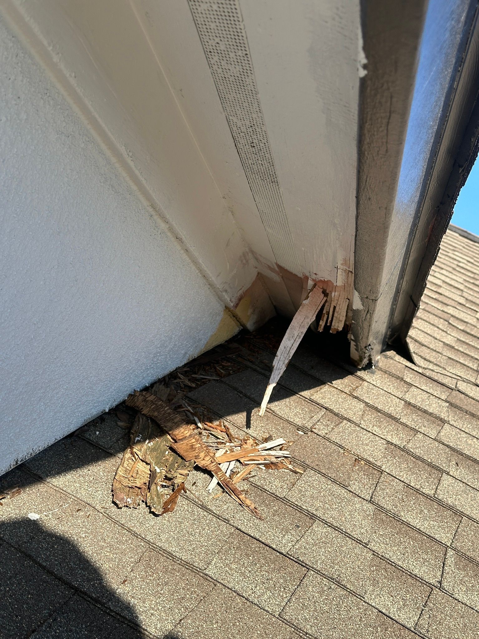 Austin Roofing and Construction Critter Damage