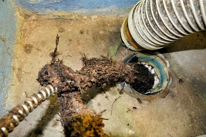 Clogged drain with brown sludge and a corrugated hose entering a concrete floor opening