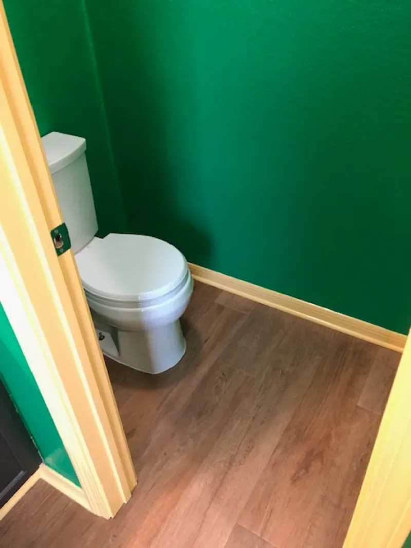 Small bathroom with green walls, wood floor, and a toilet next to the door.