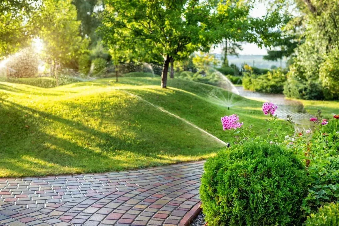 Sunlit park path beside green lawns, trees, and pink flowers in a landscaped garden