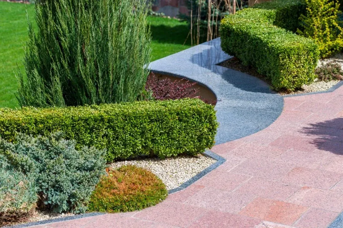Curved garden path with trimmed green hedges and shrubs beside a pink driveway