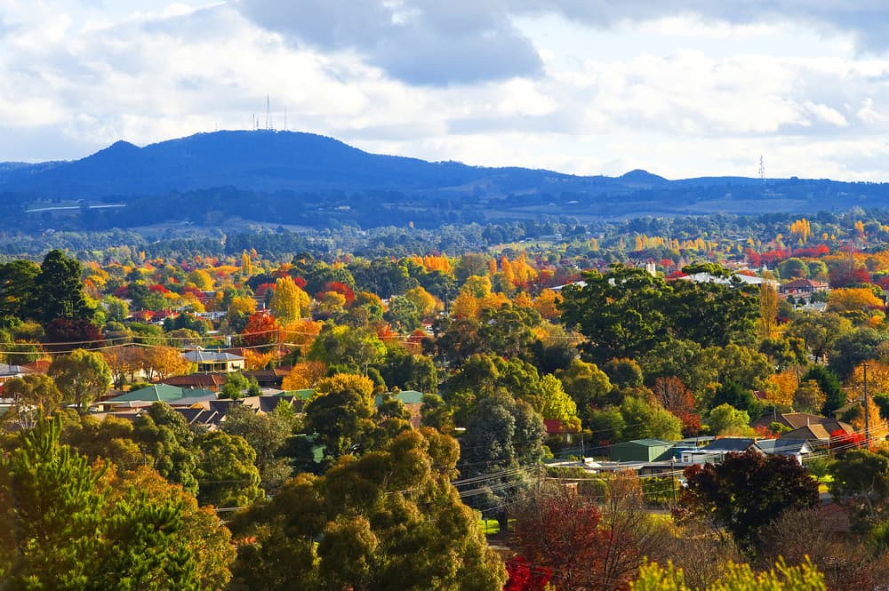 Apples and Vineyards — Bore Drilling in Orange, NSW