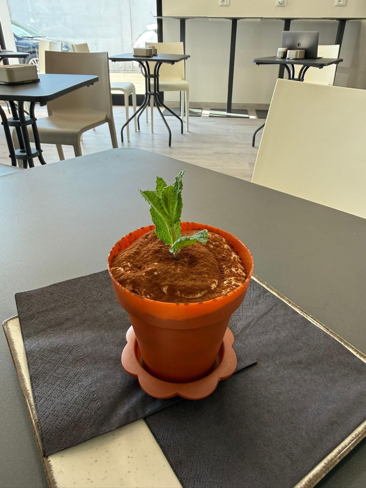 Una piccola pianta in vaso su un tavolino da caffè con una tovaglietta scura, in una tranquilla sala da pranzo interna.