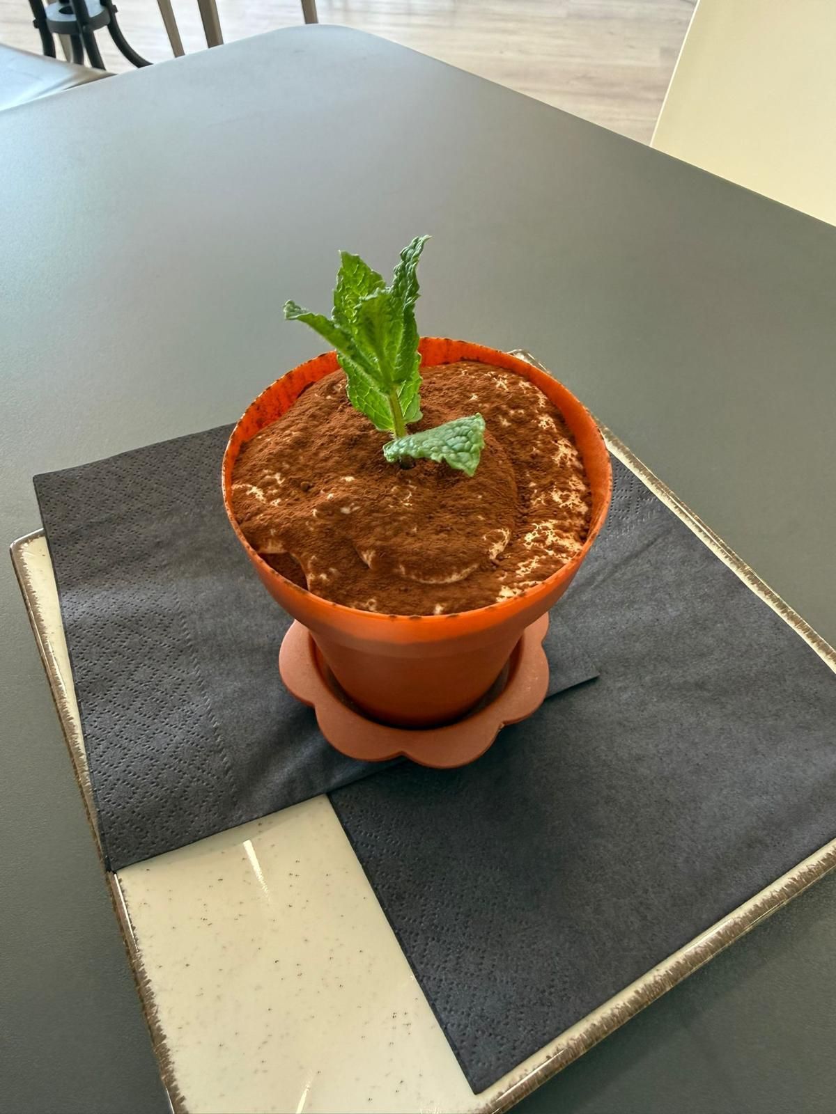 Piccola succulenta in vaso arancione su un libro scuro, a sua volta appoggiato su un tavolo grigio.