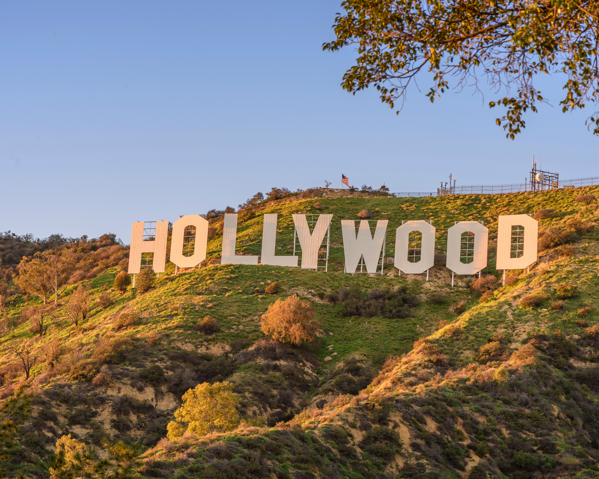 Hollywood sign on a sunny hillside, with a blue sky background and some green vegetation.