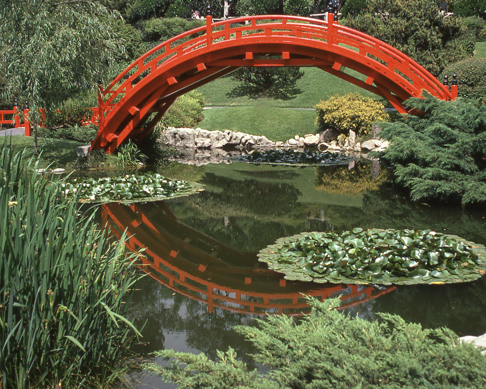 Red arched bridge over a pond with lily pads, surrounded by greenery.
