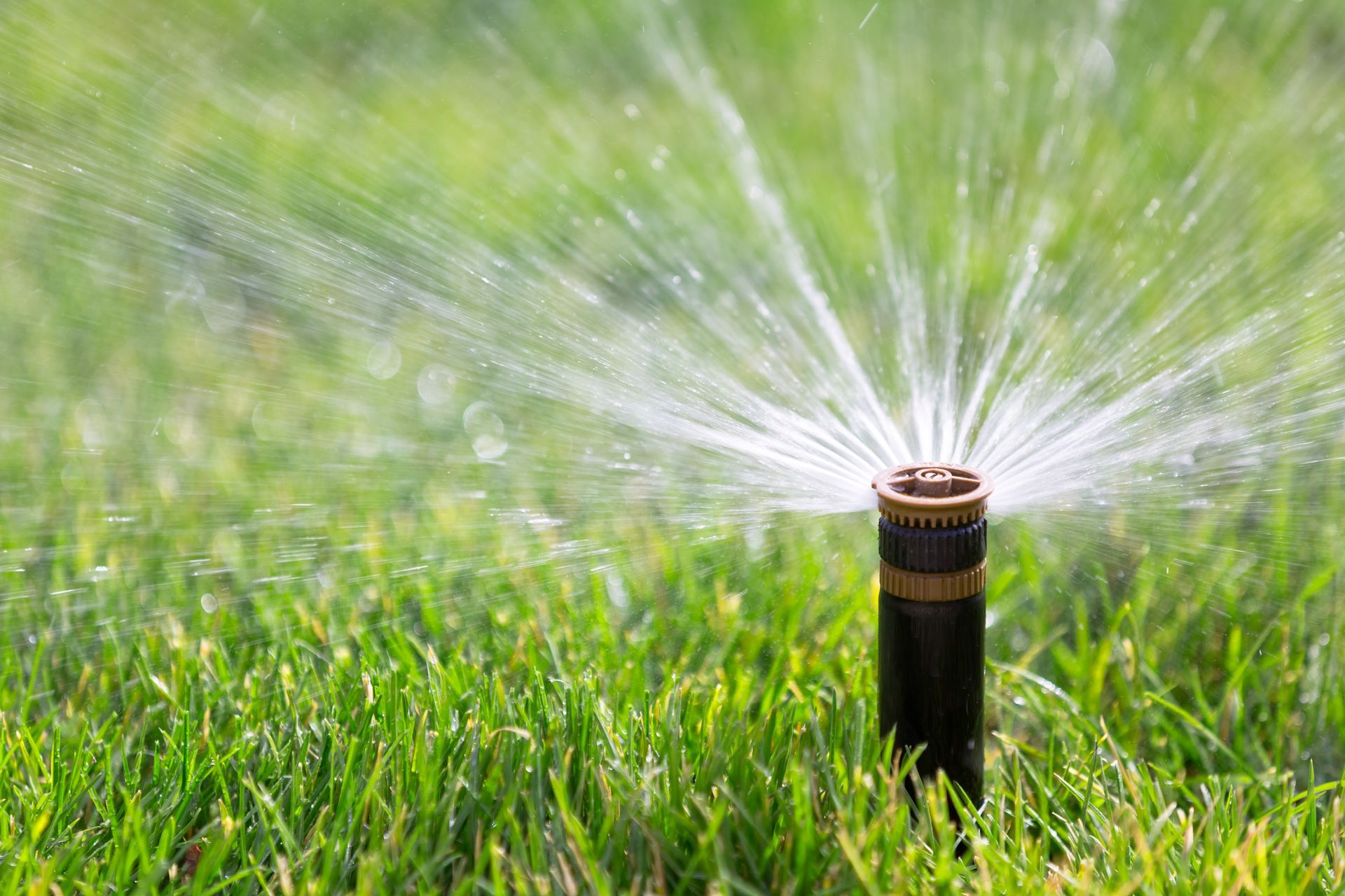 Residential Irrigation