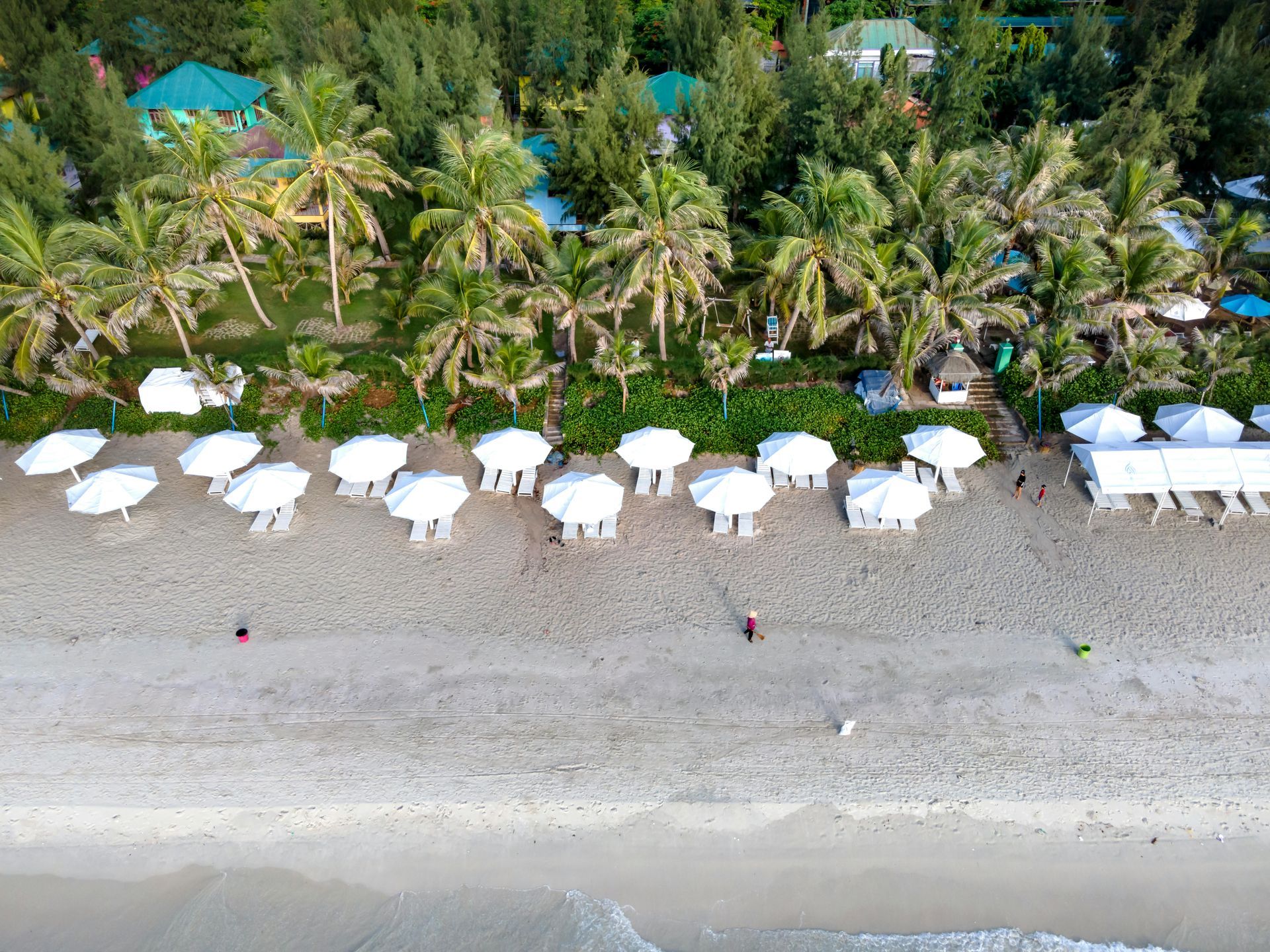 La Joya, Playa Lagarto